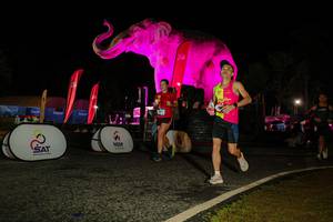 BIB: 
                            <button type="button" onclick="openModal(26534406)" class="btn btn-primary btn-sm float-right btn-popup" data-toggle="modal" data-target=".modal-high-quality">
                        <i class="fas fa-shopping-cart"></i> Add to Cart
                    </button>
                                            <button type="button" onclick="isThisMe(26534406, true)" class="btn btn-success btn-sm float-right btn-popup btn-isme hidden" data-toggle="tooltip" data-placement="bottom" title="นี่คือรูปของคุณใช่ไหม คลิกที่นี่เพื่อเอาเข้าอัลบั้ม">
                        <i class="fas fa-plus"></i> Add to album
                    </button>
                    <button type="button" onclick="isThisMe(26534406, false)" class="btn btn-warning btn-sm float-right btn-popup btn-isnotme hidden">
                        <i class="fas fa-ban"></i> Remove from album
                    </button>